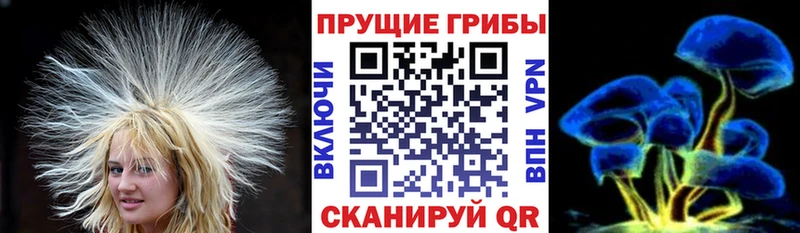 купить  сайты  Меленки  Галлюциногенные грибы MAGIC MUSHROOMS 
