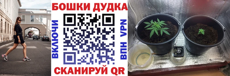 Марихуана ГИДРОПОН  купить   Меленки 